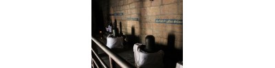 திருகஞ்சனூர்
